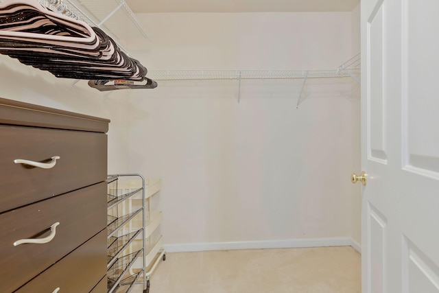 spacious closet featuring light colored carpet