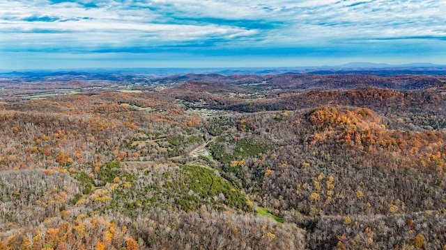 aerial view featuring a mountain view