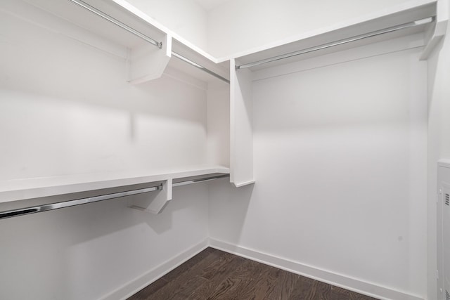 spacious closet featuring dark wood-type flooring