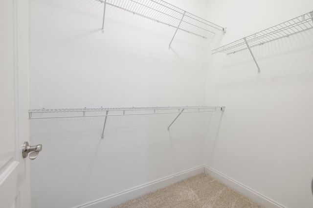 walk in closet featuring carpet