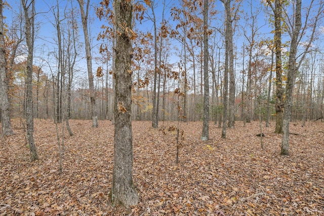 Listing photo 3 for 1 Brush Creek Rd, Lawrenceburg TN 38464