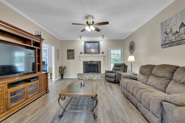 living room with a fireplace, light hardwood / wood-style floors, and crown molding