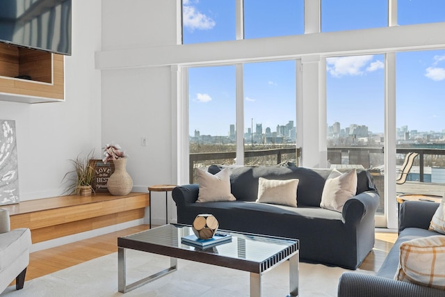 living room featuring a high ceiling and light hardwood / wood-style flooring