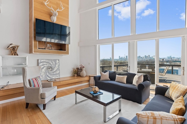 living room featuring light hardwood / wood-style floors and a high ceiling