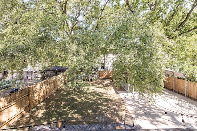 view of yard featuring a patio area