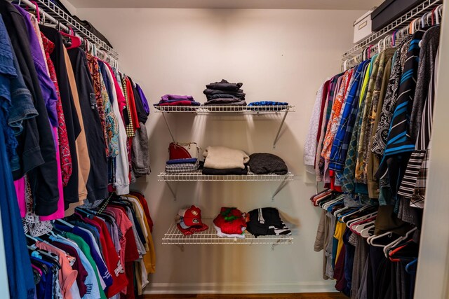 walk in closet featuring hardwood / wood-style flooring