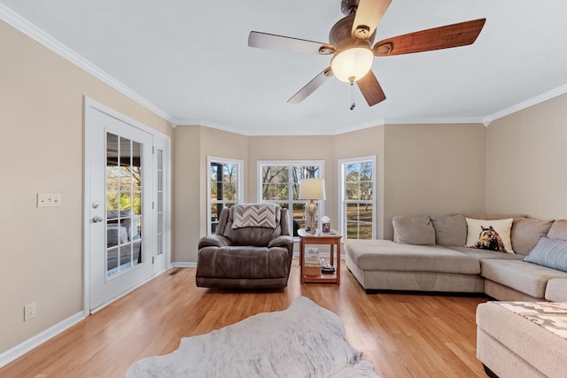 living room featuring ceiling fan, ornamental molding, and light wood-type flooring