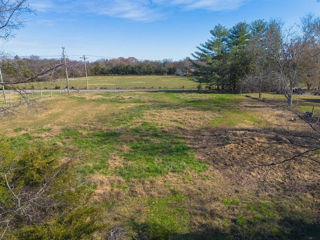 view of yard with a rural view