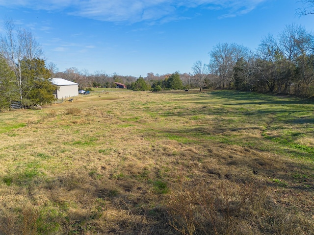 view of yard with a rural view