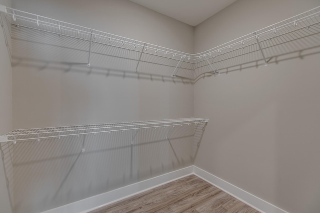 walk in closet with hardwood / wood-style floors