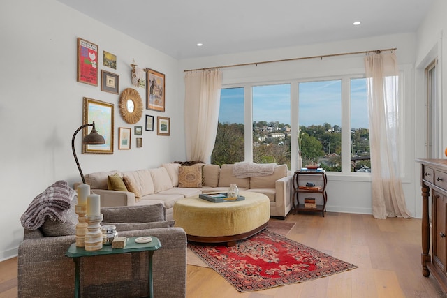 living room with light hardwood / wood-style flooring