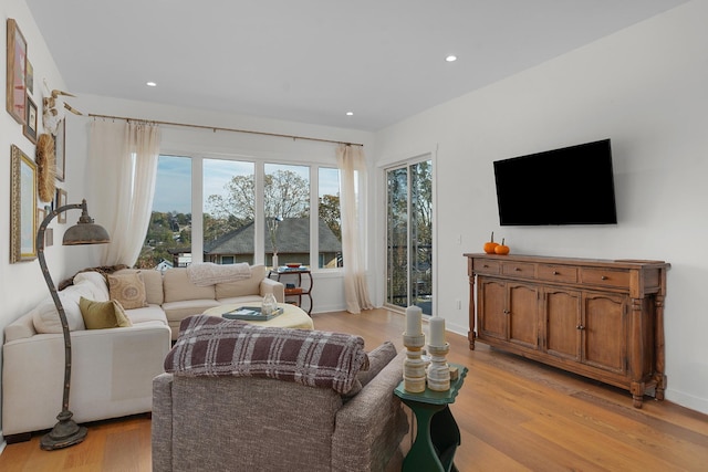 living room with light hardwood / wood-style flooring