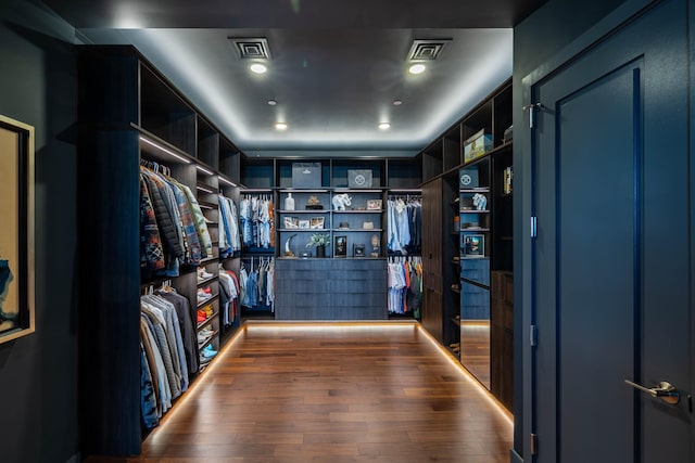 spacious closet featuring wood-type flooring