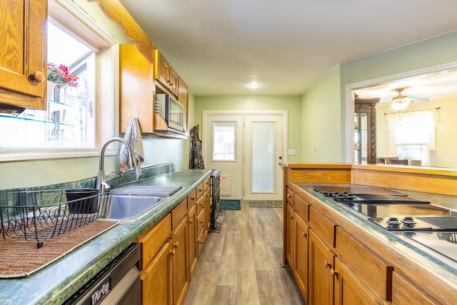 kitchen with appliances with stainless steel finishes, light hardwood / wood-style floors, ceiling fan, and sink