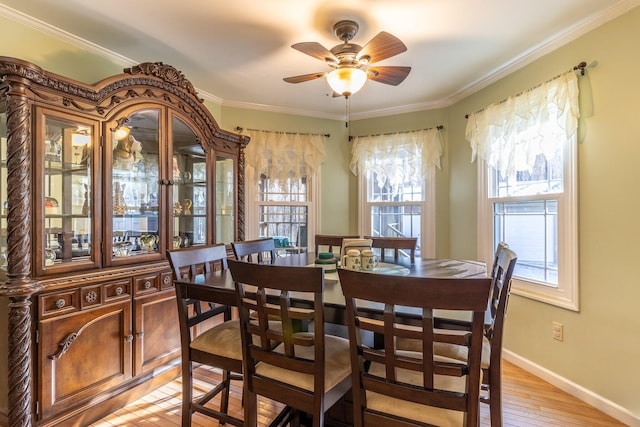 dining area featuring ceiling fan, light hardwood / wood-style floors, and ornamental molding