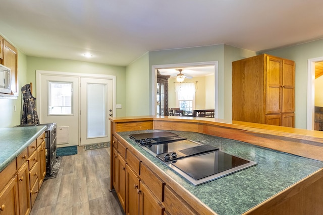 kitchen with hardwood / wood-style floors, ceiling fan, and black electric stovetop