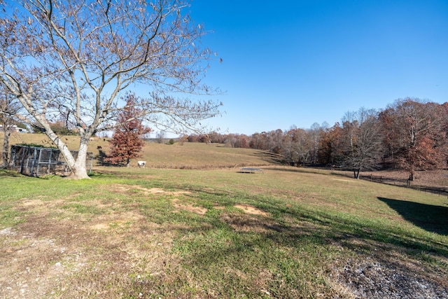 view of yard with a rural view