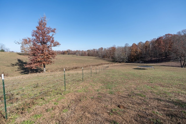 view of yard with a rural view