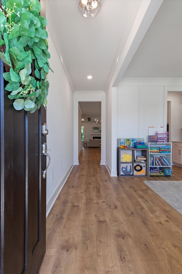 entrance foyer with hardwood / wood-style flooring