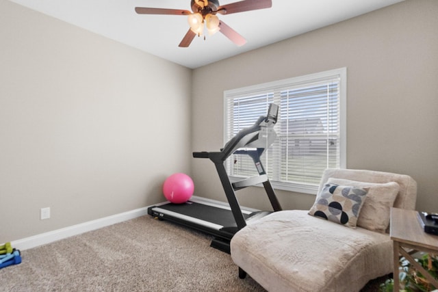 exercise room with ceiling fan, carpet, and baseboards