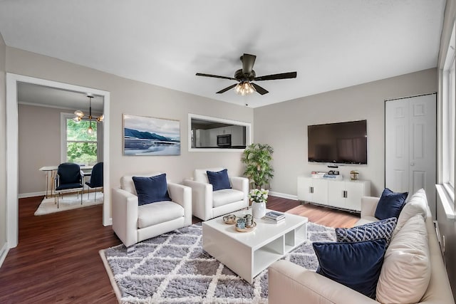 living room with ornamental molding, ceiling fan with notable chandelier, and dark wood-type flooring