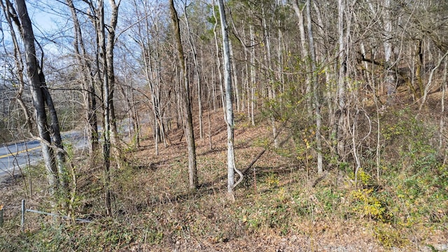 0 Whites Creek Pike, Whites Creek TN, 37189 land for sale