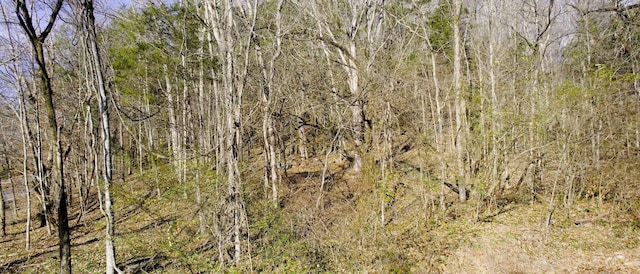 Listing photo 3 for 0 Whites Creek Pike, Whites Creek TN 37189