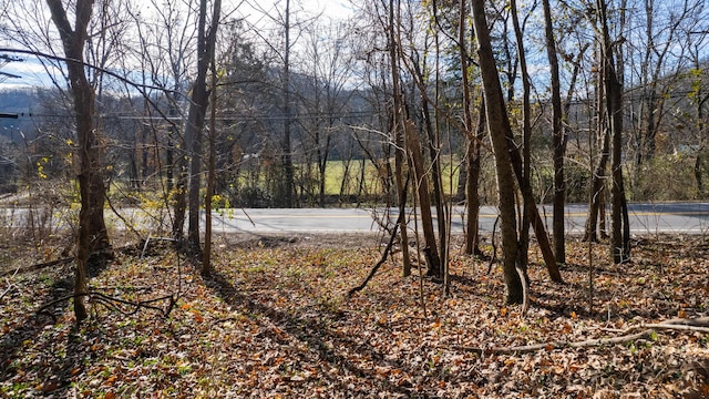 Listing photo 2 for 0 Whites Creek Pike, Whites Creek TN 37189