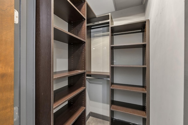 view of walk in closet