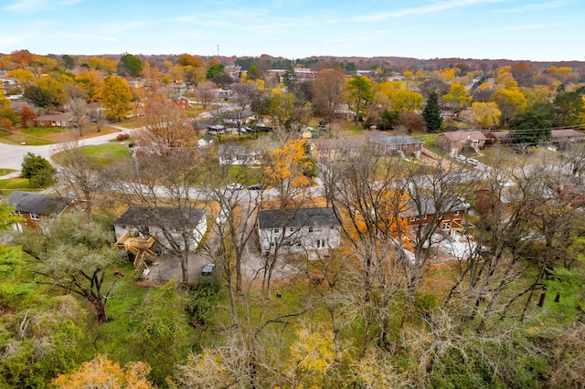 bird's eye view