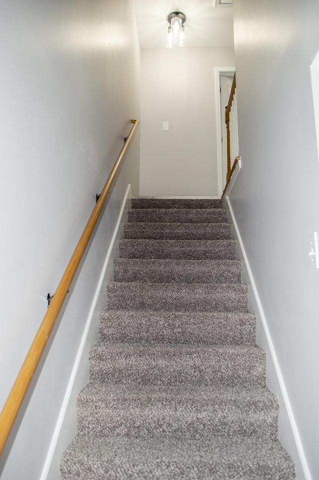 stairway featuring carpet floors