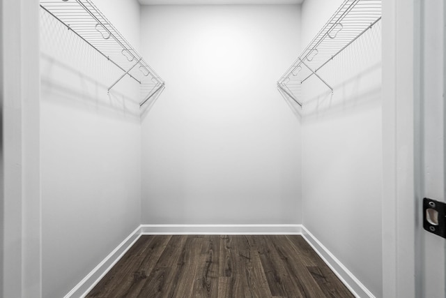 spacious closet featuring dark wood-style floors