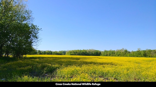 view of nature featuring a rural view