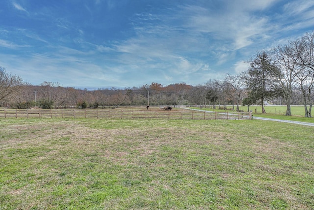 view of yard featuring a rural view