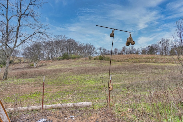 view of yard featuring a rural view