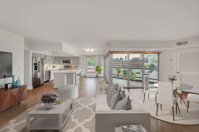 living room with light hardwood / wood-style floors and a wealth of natural light