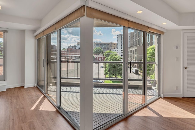 doorway featuring hardwood / wood-style floors