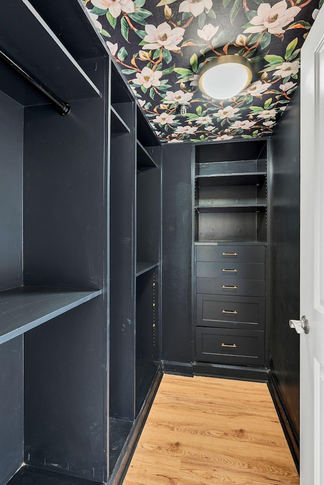 walk in closet with wood-type flooring