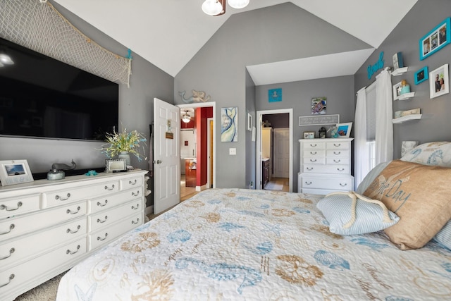 bedroom with lofted ceiling