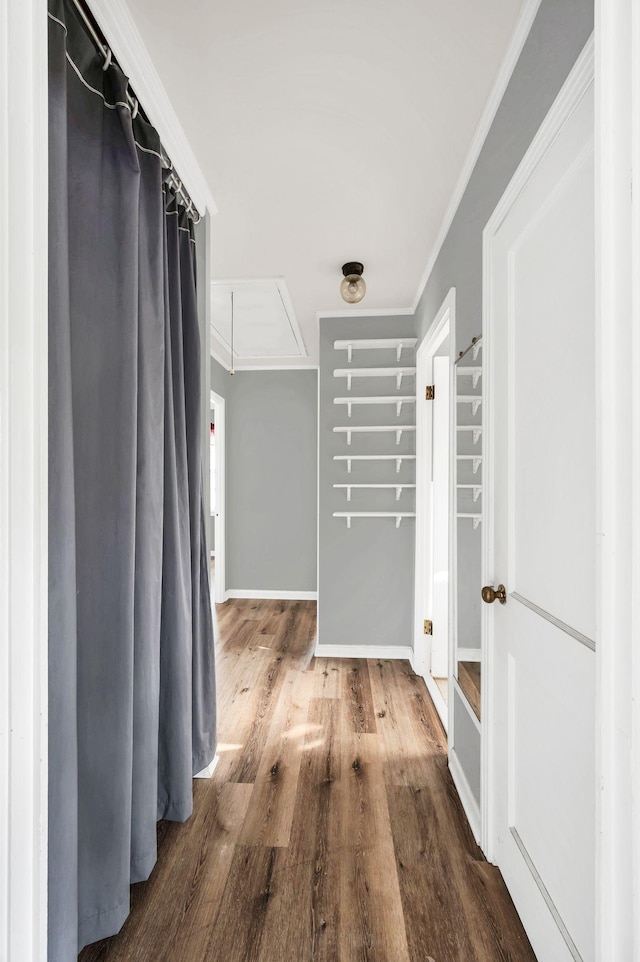 hallway with hardwood / wood-style flooring and crown molding