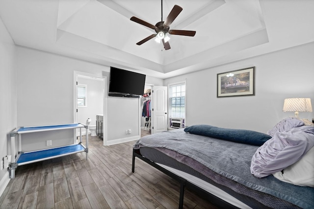 bedroom featuring a raised ceiling, a walk in closet, ceiling fan, wood-type flooring, and a closet