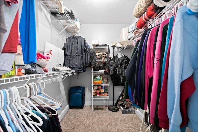 walk in closet with carpet flooring