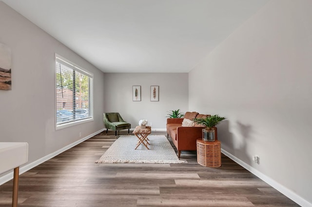 sitting room with dark wood-type flooring