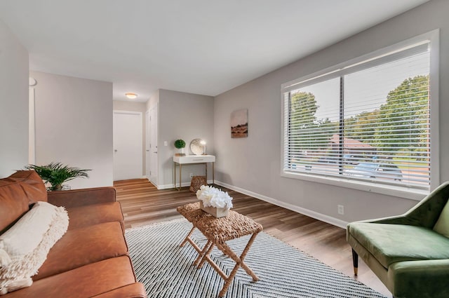 living room featuring hardwood / wood-style flooring