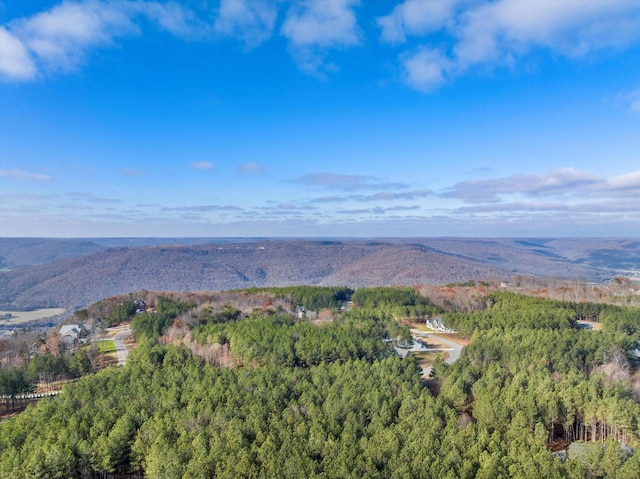 0 Crockett Pt, Jasper TN, 37347 land for sale