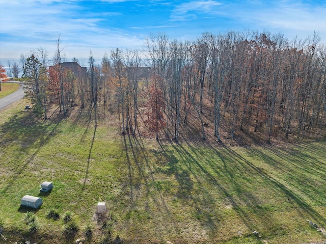 0 River Bluffs Dr, Jasper, TN 37347 - photo 4