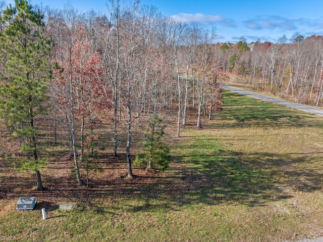0 River Bluffs Dr, Jasper, TN 37347 - photo 9