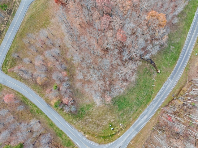 0 River Bluffs Dr, Jasper, TN 37347 - photo 1