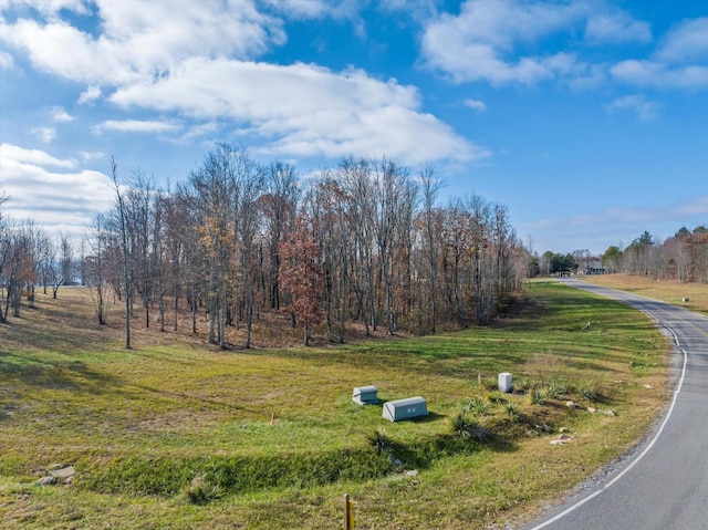 0 River Bluffs Dr, Jasper, TN 37347 - photo 7
