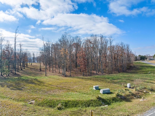 0 River Bluffs Dr, Jasper, TN 37347 - photo 8